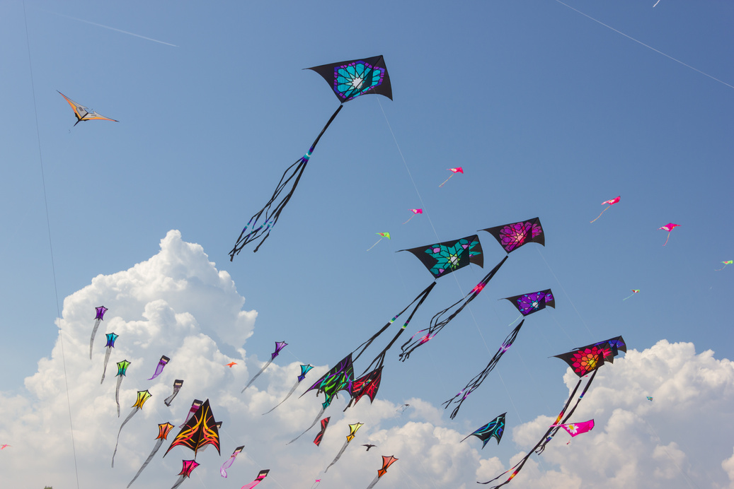 Kite festival